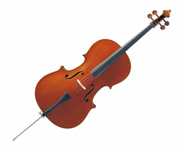 Alquiler de violonchelo