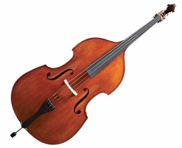 Alquiler de contrabajo